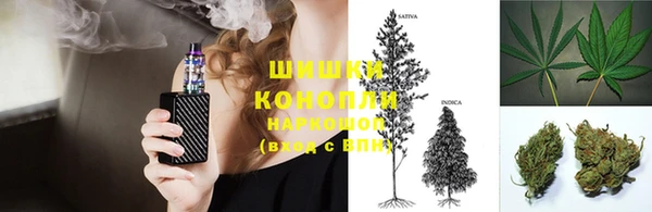 дживик Горнозаводск