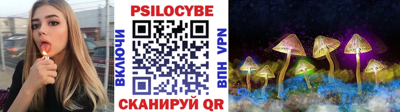 Галлюциногенные грибы Psilocybe Красавино