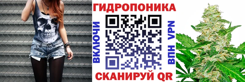 OMG ONION  Красавино  Каннабис сатива 